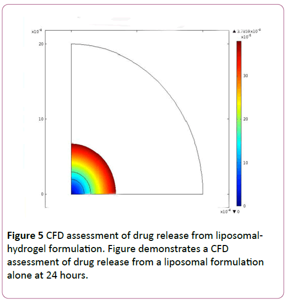 anaesthesia-painmedicine-CFD-assessment